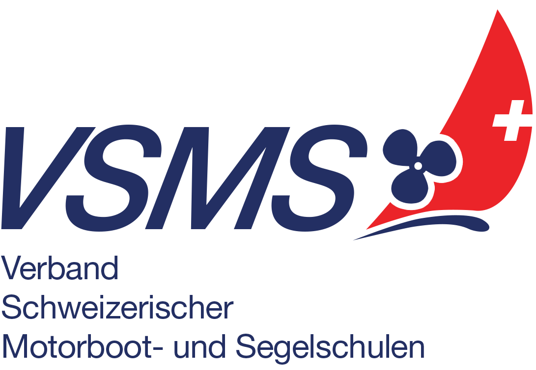 VSMS Logo