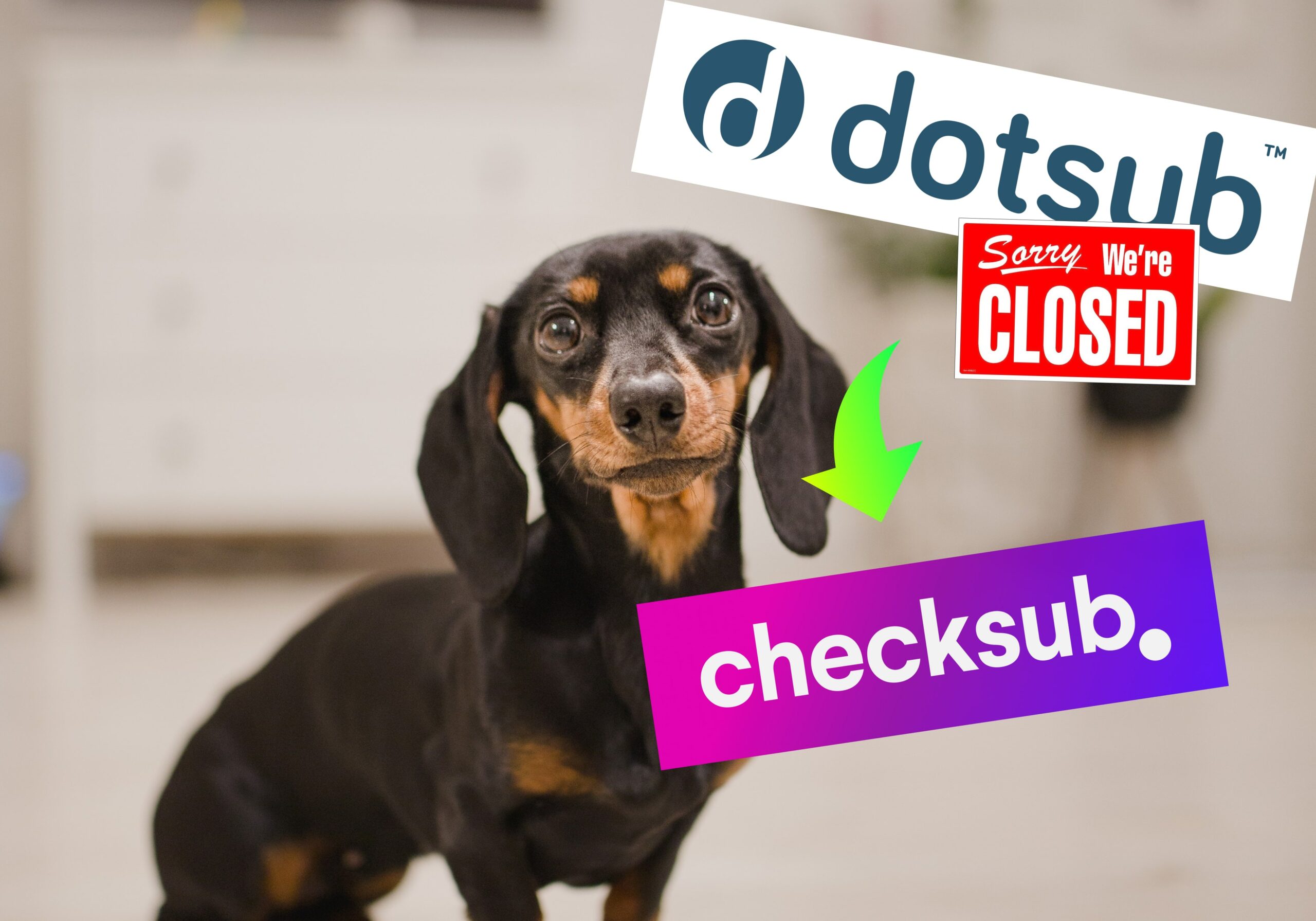 What's the best alternative to replace Dotsub? - Checksub