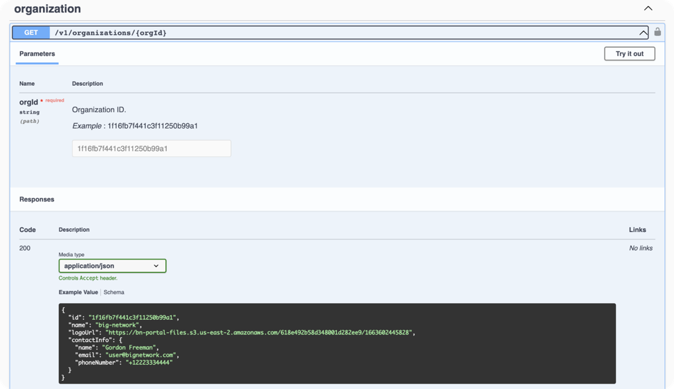 Maximize Big Network's REST API: A Comprehensive Guide