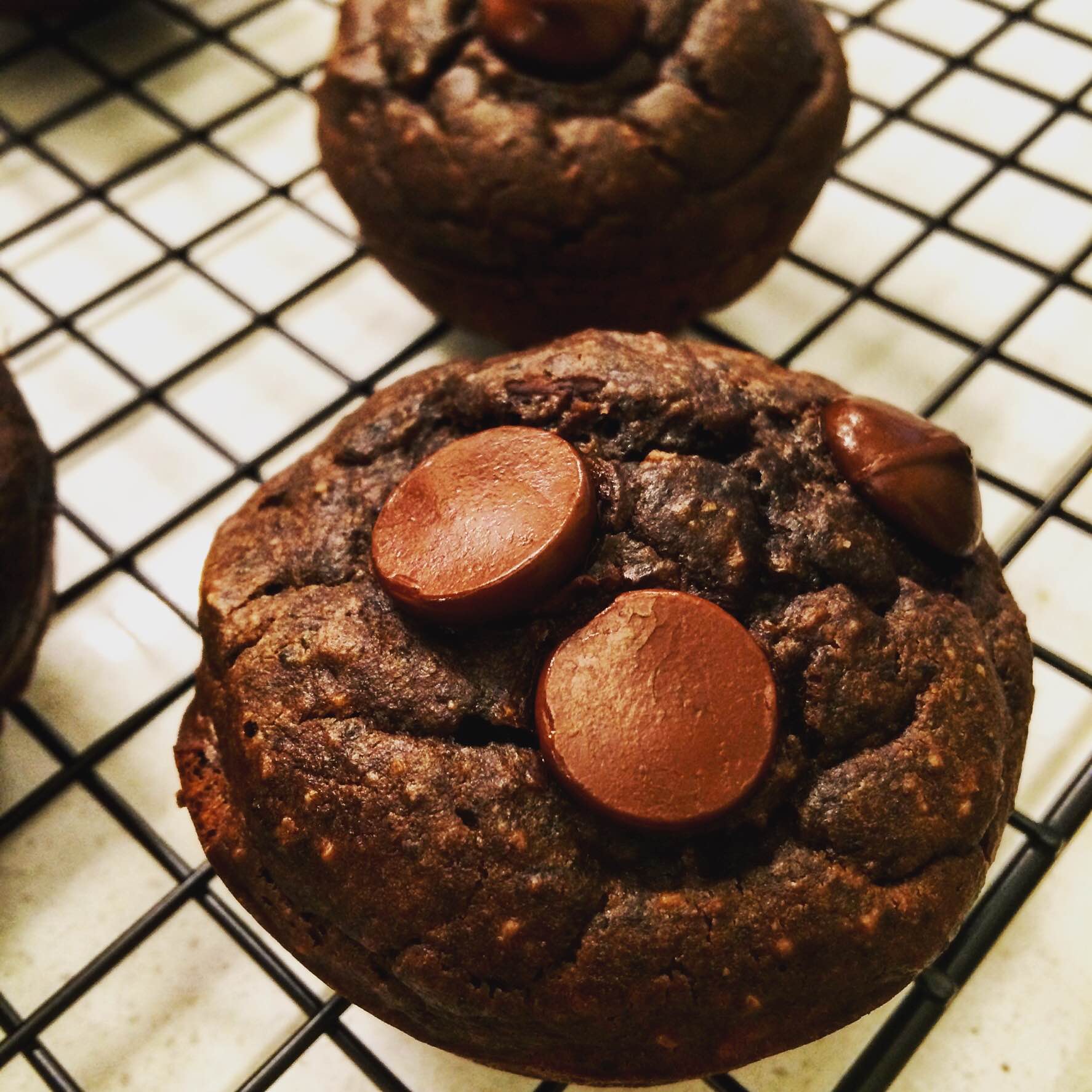 Black Bean Protein Muffins Recipe Case Specific Nutrition®