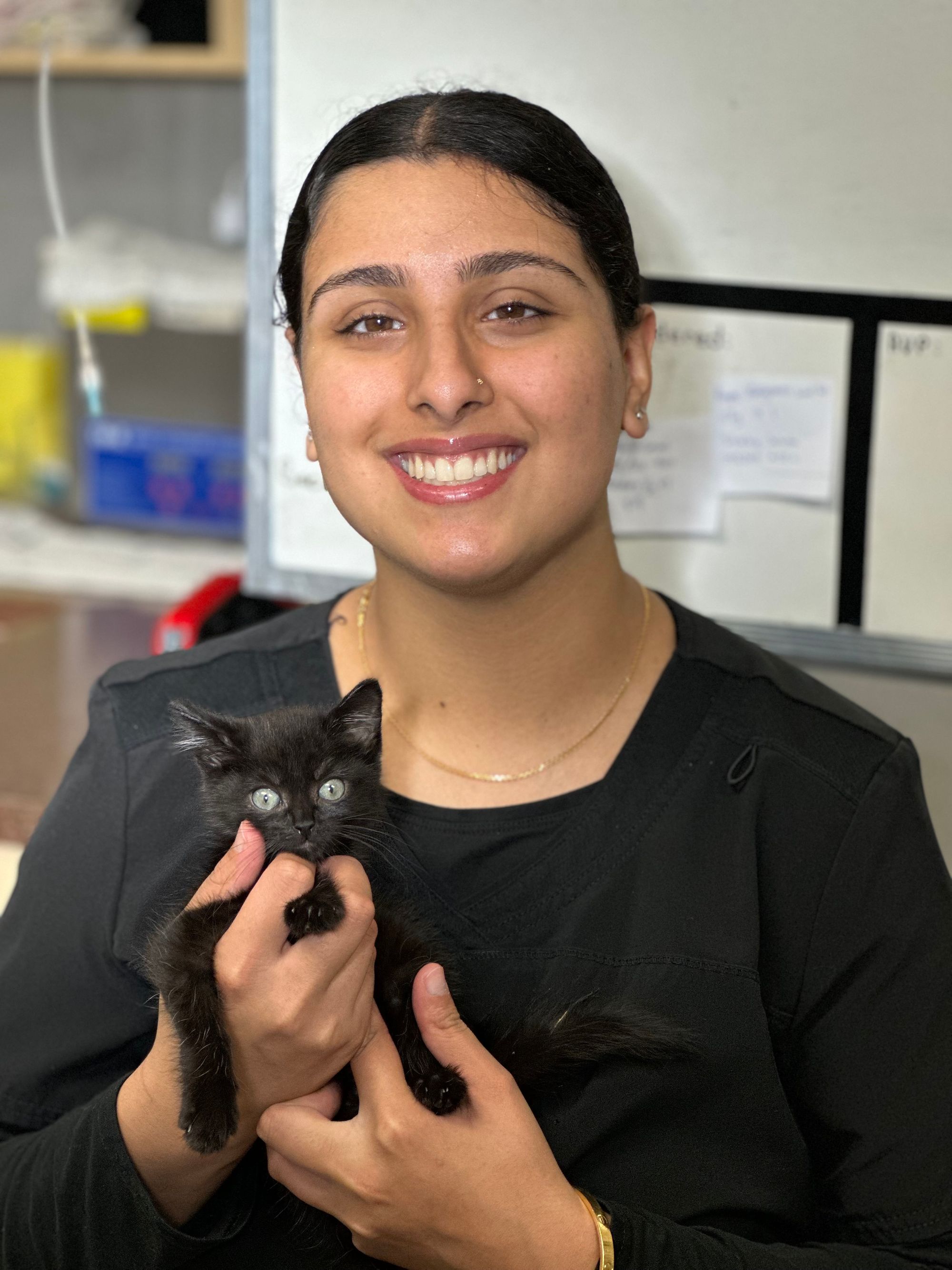 Clearbrook Animal Hospital Top Veterinary Care in Abbotsford, BC