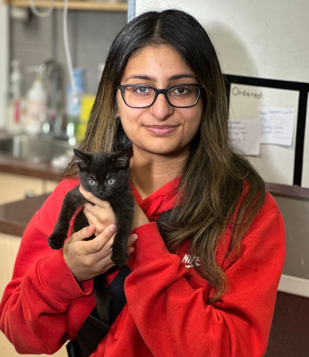 Clearbrook Animal Hospital Top Veterinary Care in Abbotsford, BC