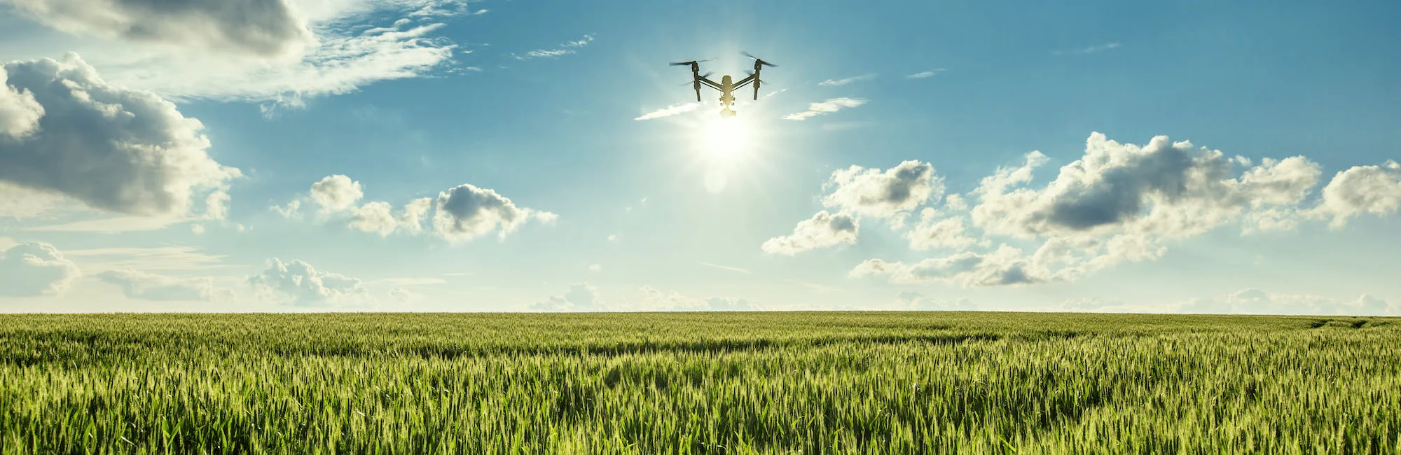 5 Ways Drone Technology Will Help Create a More Sustainable Future | DroneDeploy