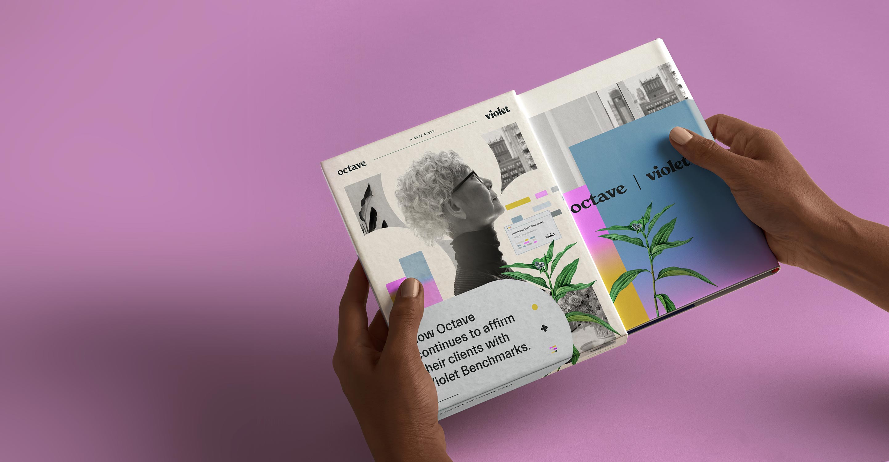Octave Health Violet | Health Equity Platform To Power Inclusive Care