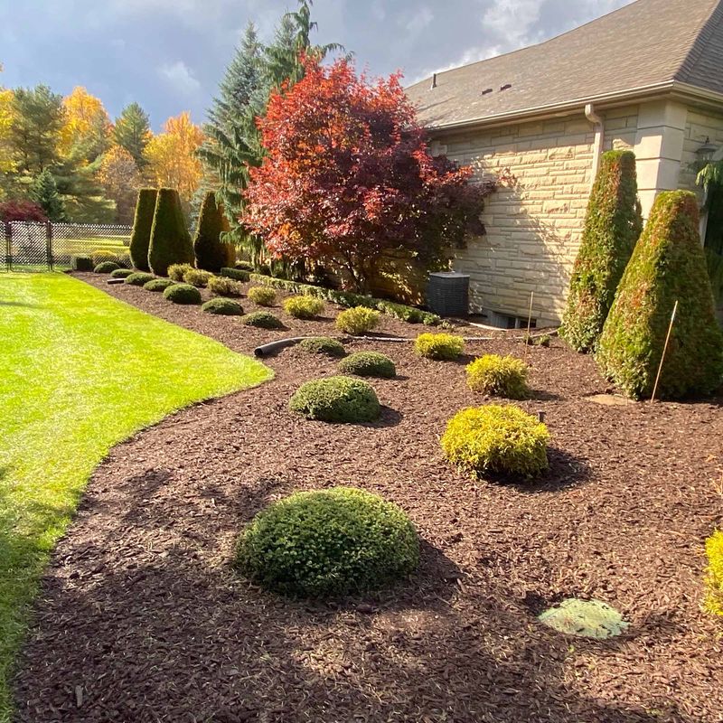 Professional Mulch Spreading with Blower Trucks Gray's Landscaping