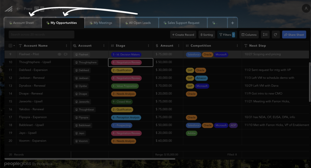 Excel Sales Tracking Templates for Reps Who Hate Salesforce Busywork