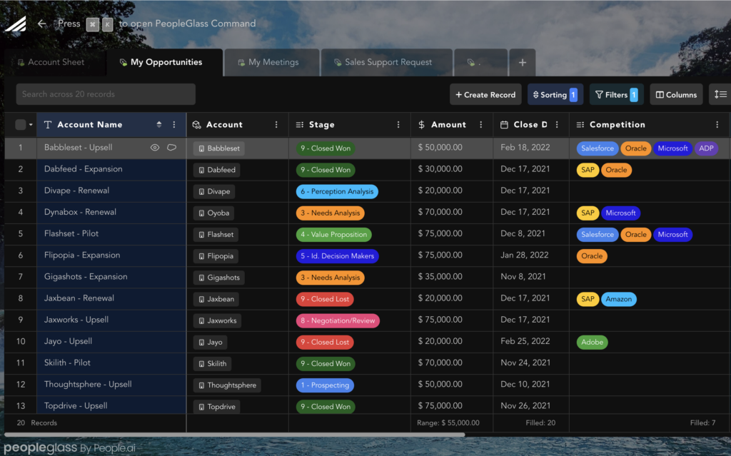 A ScratchPad Alternative PurposeBuilt for AEs & SDRs Using Salesforce
