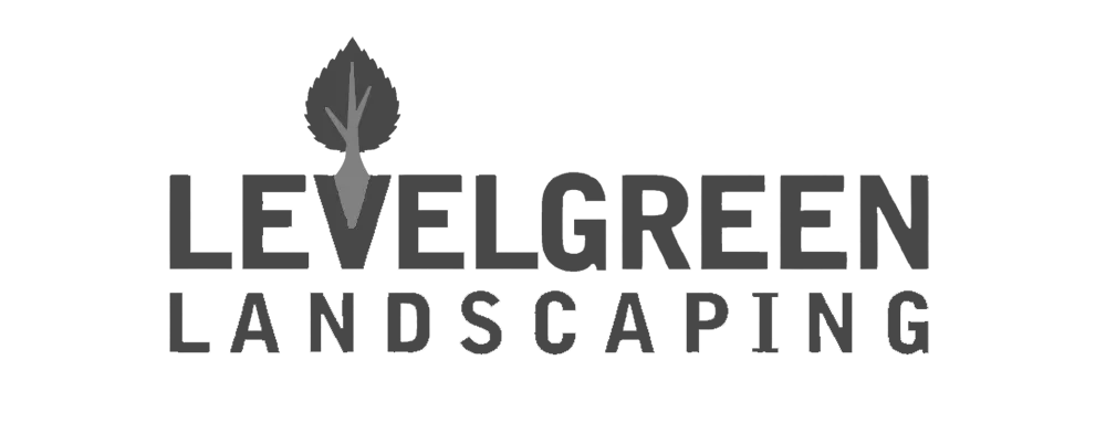 SiteRecon Best mapping tool for - 646cbb51c83e856a47906edf Levelgreen%20(2).webp