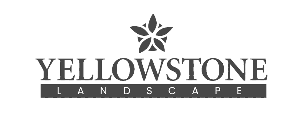 SiteRecon Best mapping tool for - 646cbb51ef482a27110416e0 Yellowstone.webp