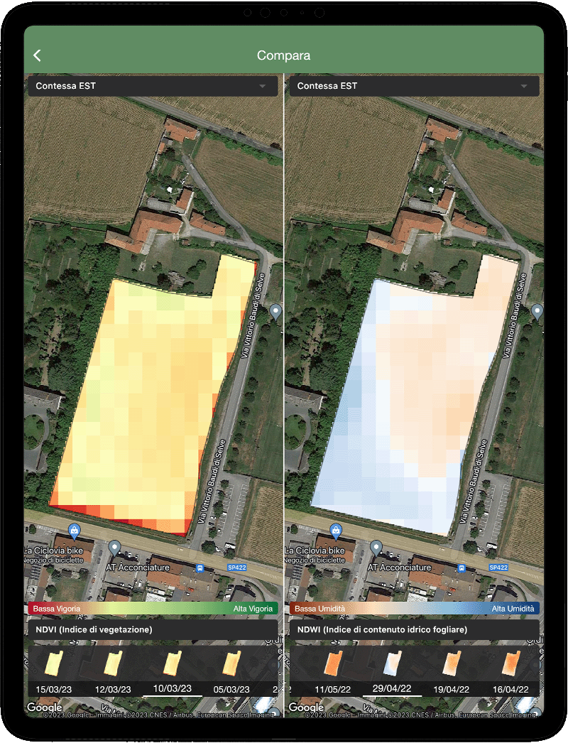 xFarm e Agricoltura 4.0: campo coltivato con agricoltura di precisione
