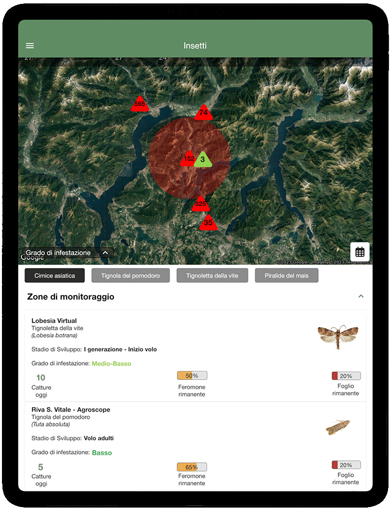 Monitorare le infestazioni di insetti tramite app xFarm