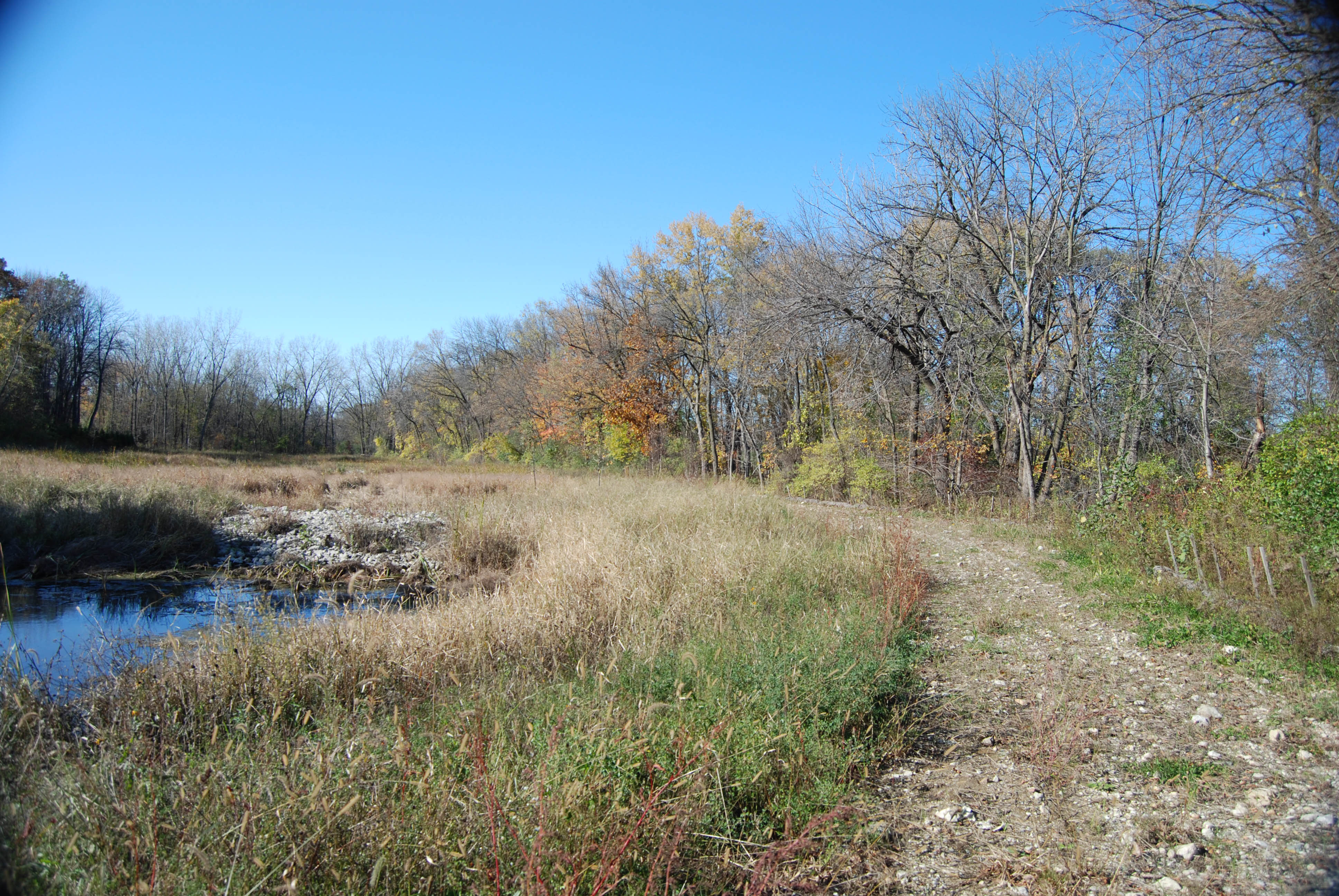 Stearns Road Corridor Adaptive Management Plan Bodwé