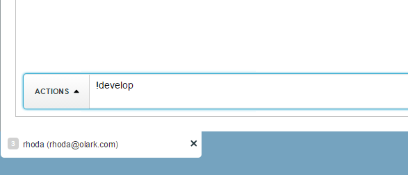 develop command being used in the chat console