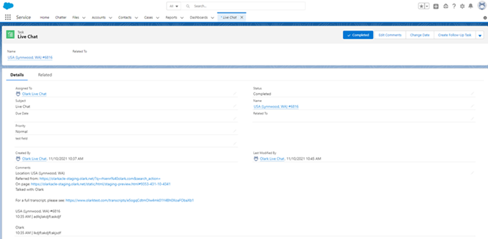 Example of Chat Transcript in Salesforce