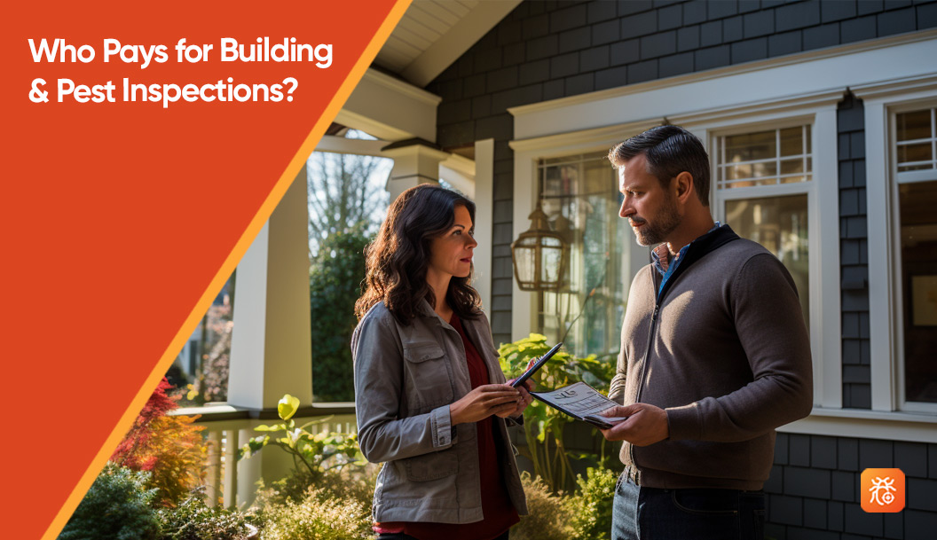 Who Pays for Building and Pest Inspections? Pest Management App
