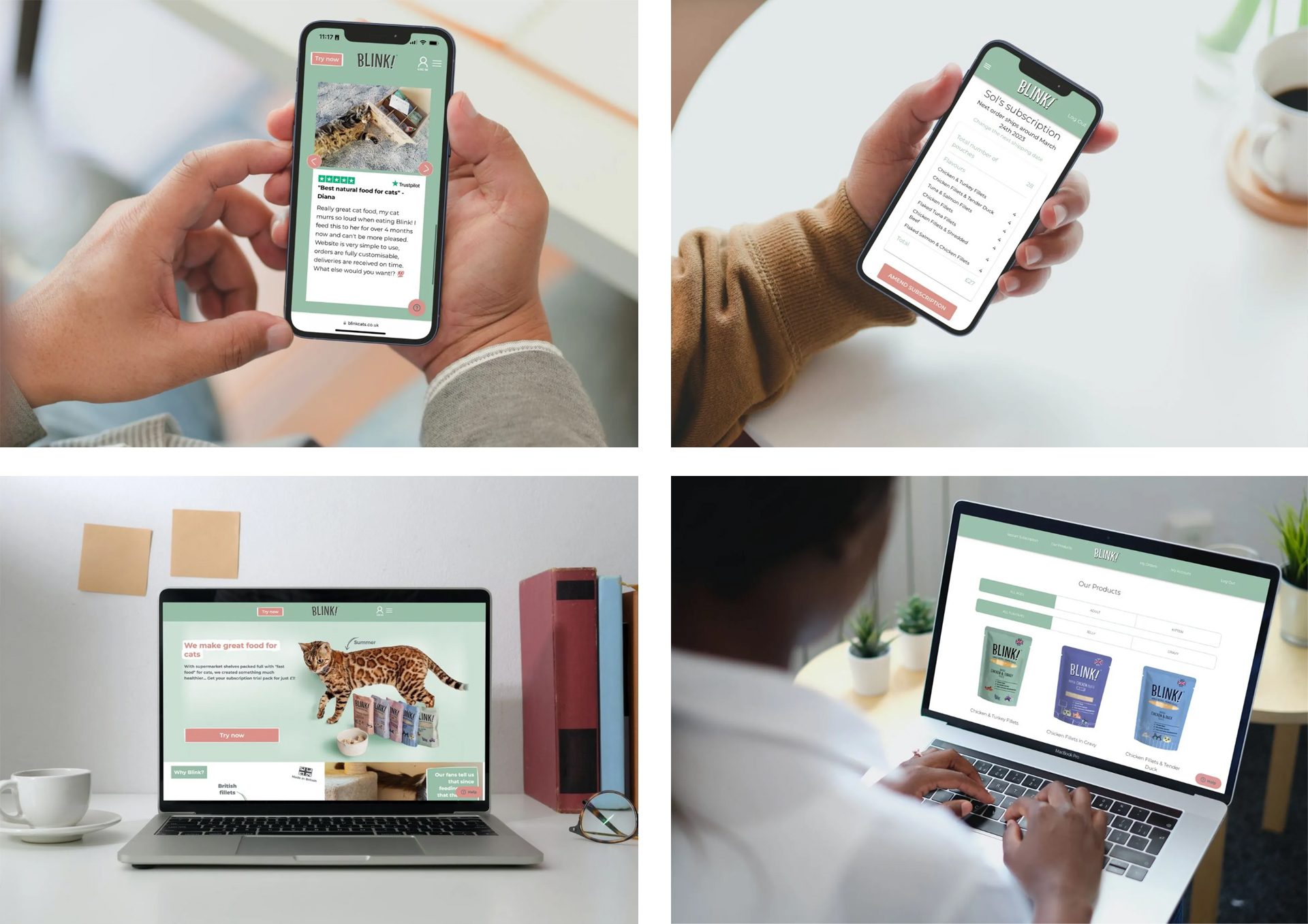 Success stories Blink cat food subscriptions