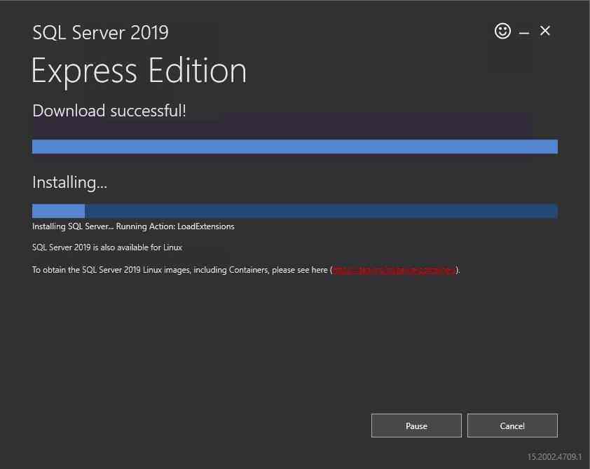 How to Install MS SQL Server 2019 Express Edition on Windows Server ...