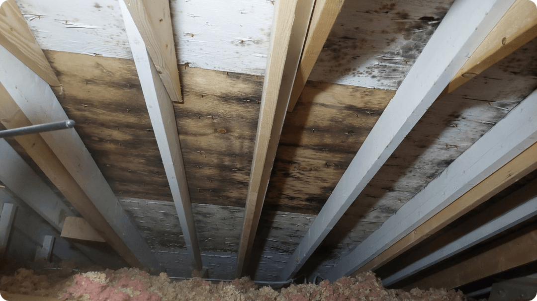 Understanding Attic Mold A Green Attic Insulation Guide