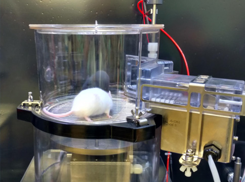 UroFlow Analyzer for Mice and Rats