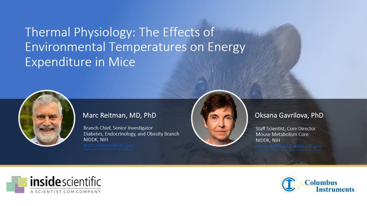Thermal Physiology The Effects of Environmental Temperatures on Energy Expenditure in Mice