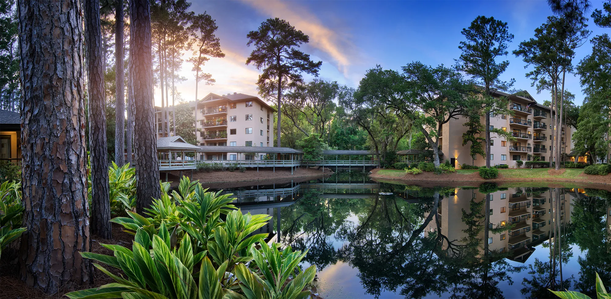 The Seabrook of Hilton Head