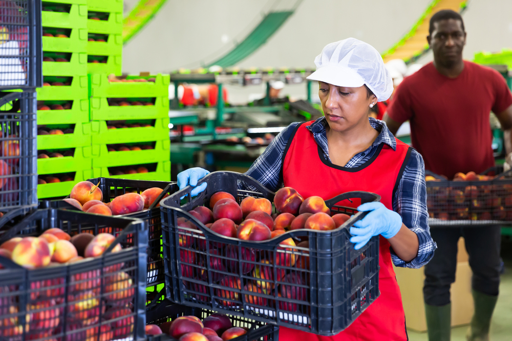 Food Production Jobs Injury Management WorkFit