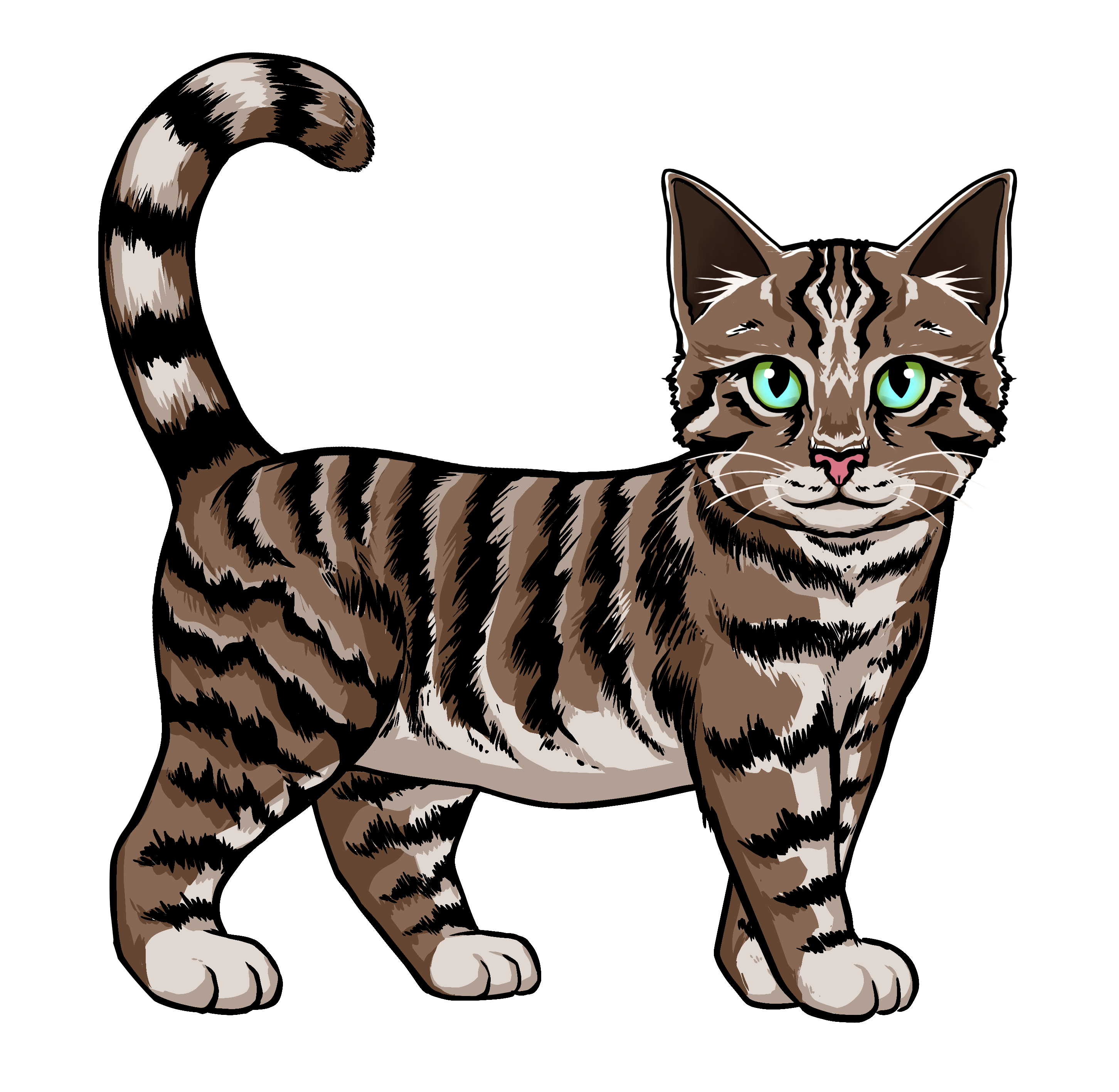 Hemule cat