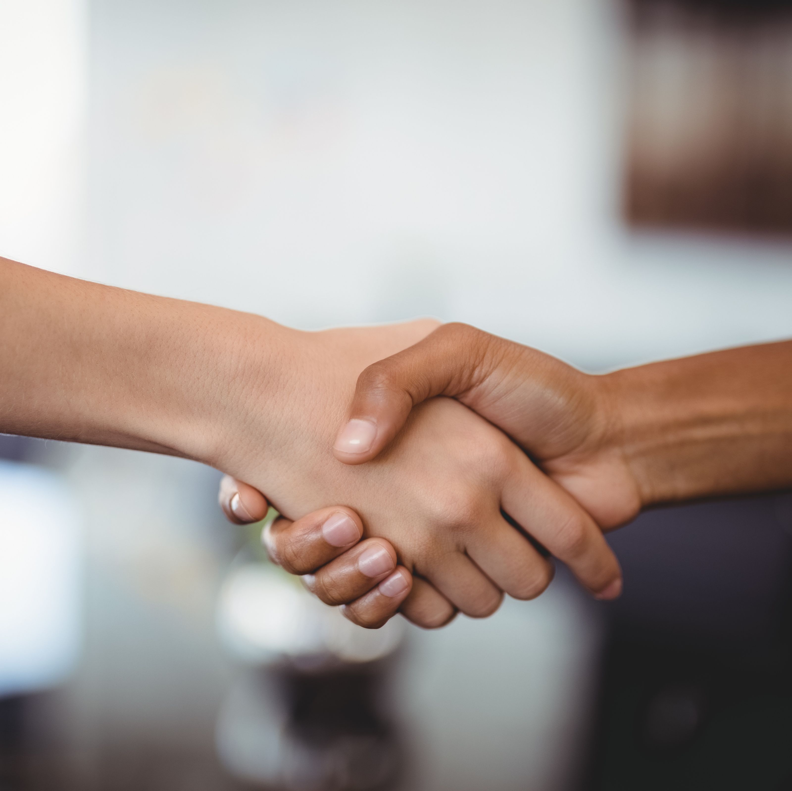 Our Team Kudzu Millwork