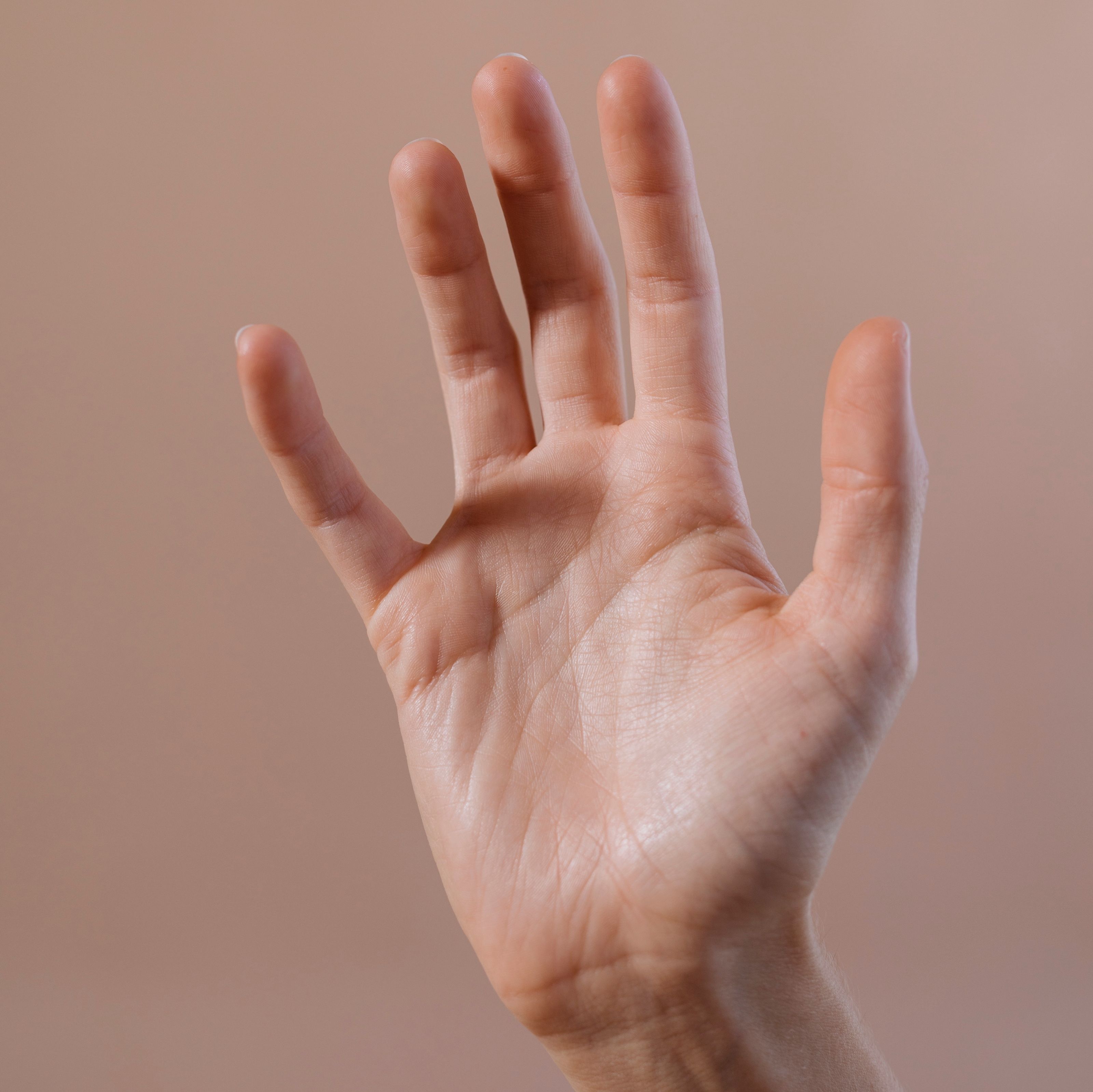 Our Team Kudzu Millwork