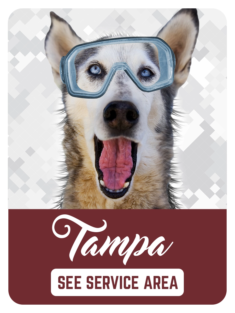 Florida Pet Waste Removal Scoop Soldiers