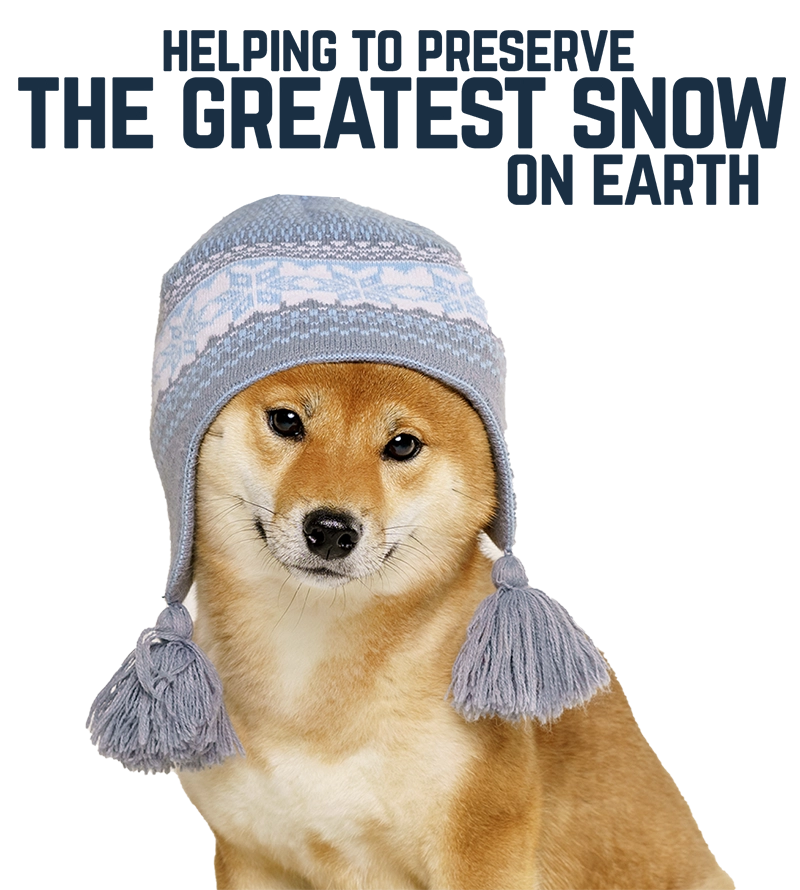 Pet Waste Removal in Salt Lake City, UT Scoop Soldiers