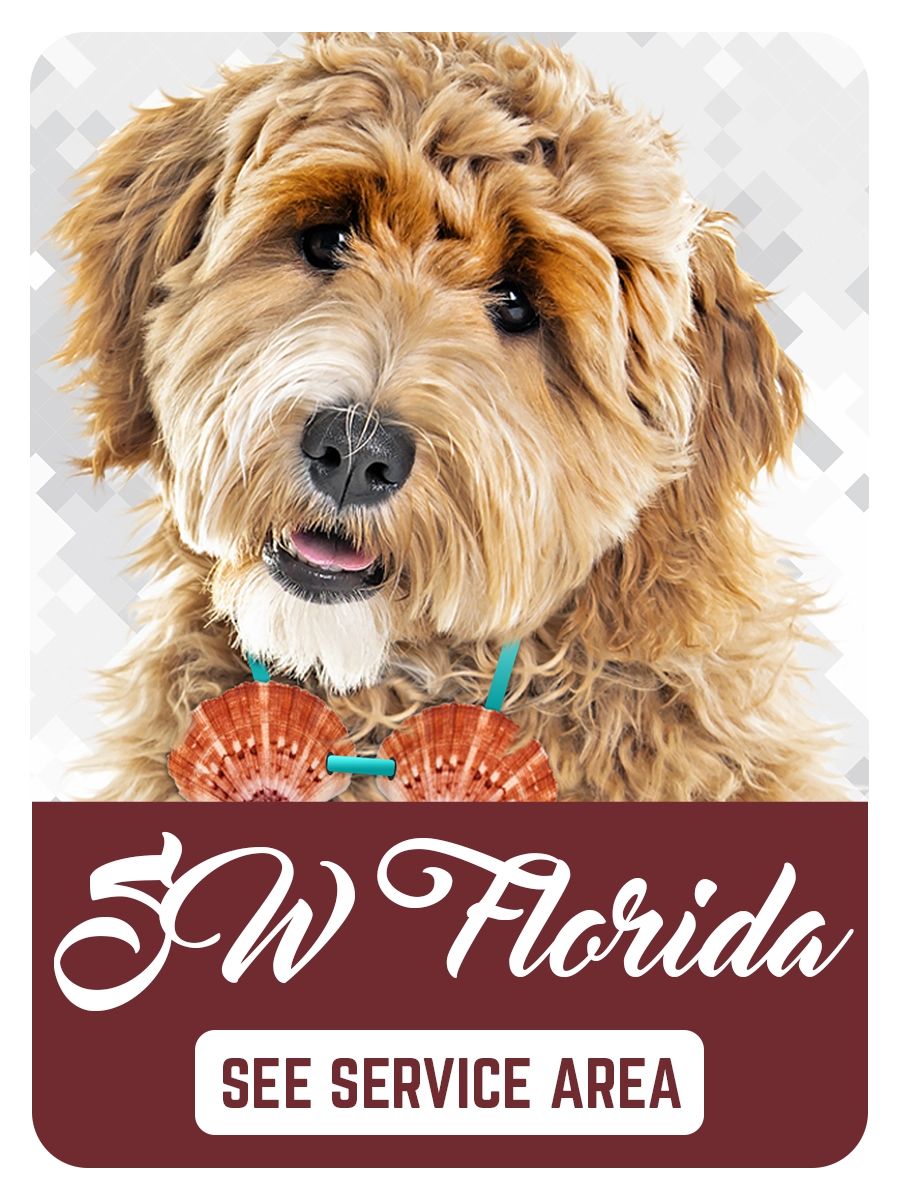 Florida Pet Waste Removal Scoop Soldiers