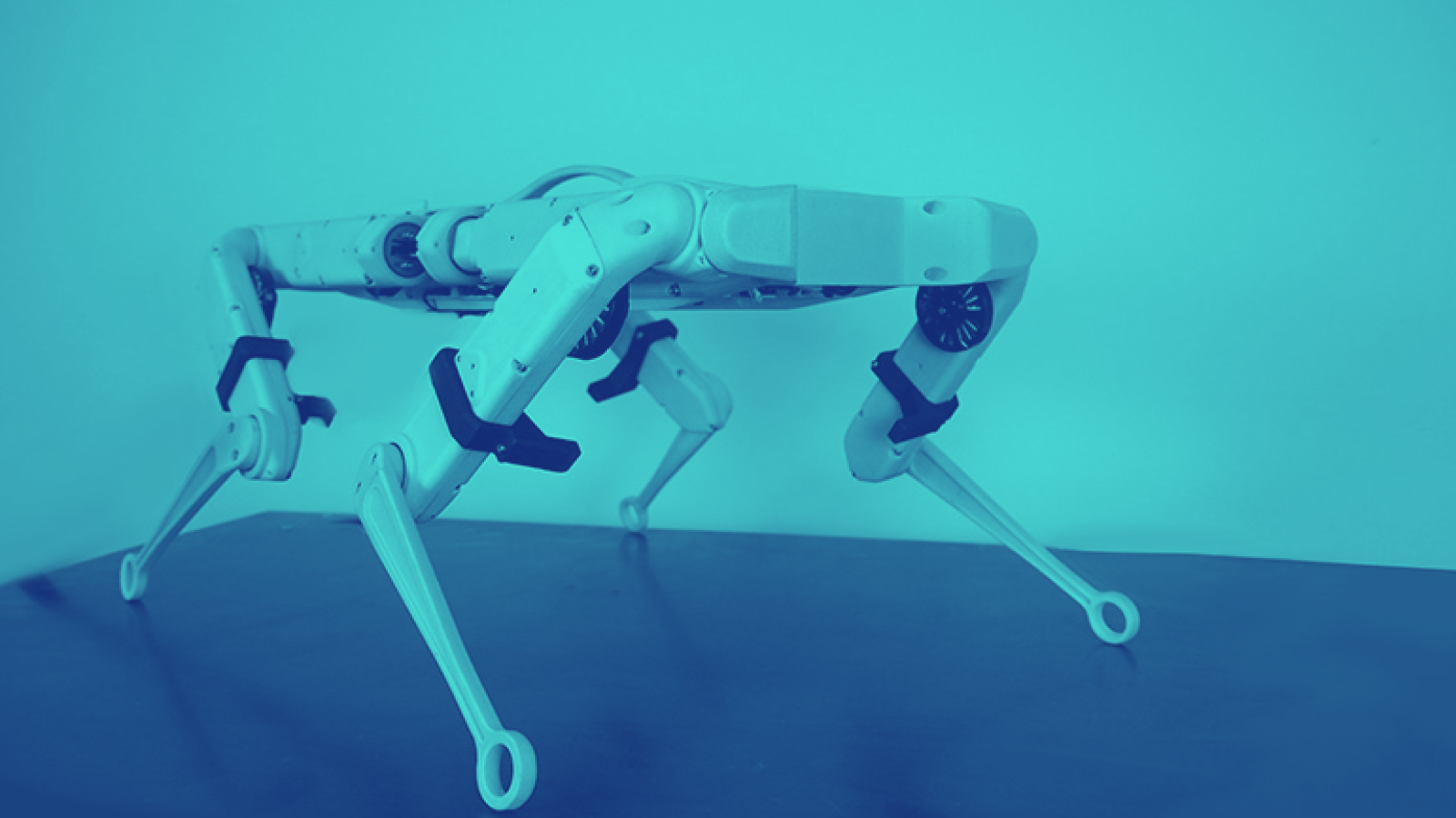 PAL Robotics Introduces SOLO 12 Quadruped Platform for Research and Testing