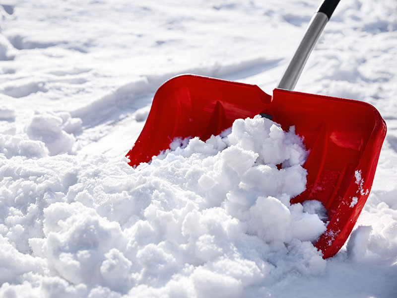 Patios & Garden Beds Installation in Minneapolis, MN 3 Bears Landscaping