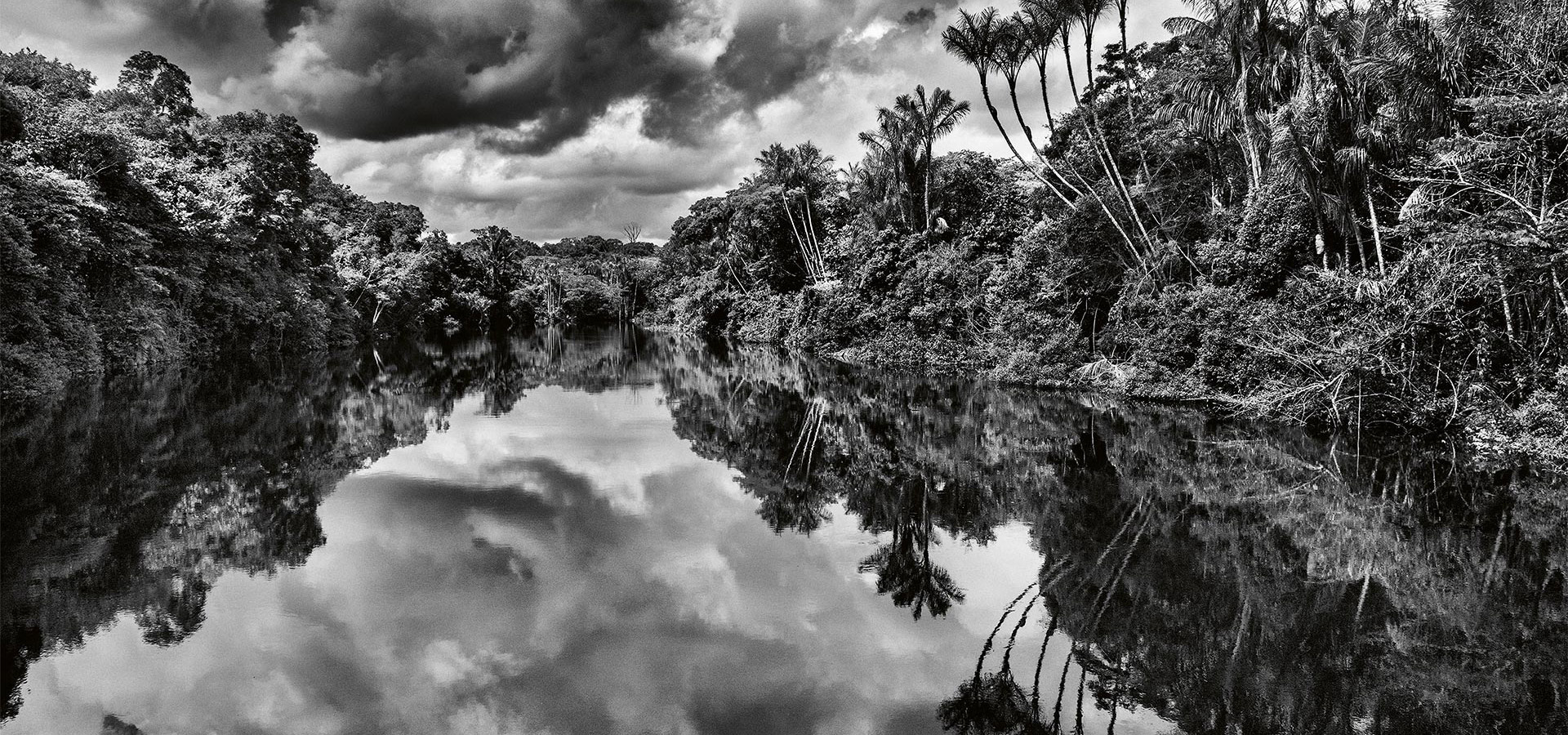 Amazōnia Cover Image