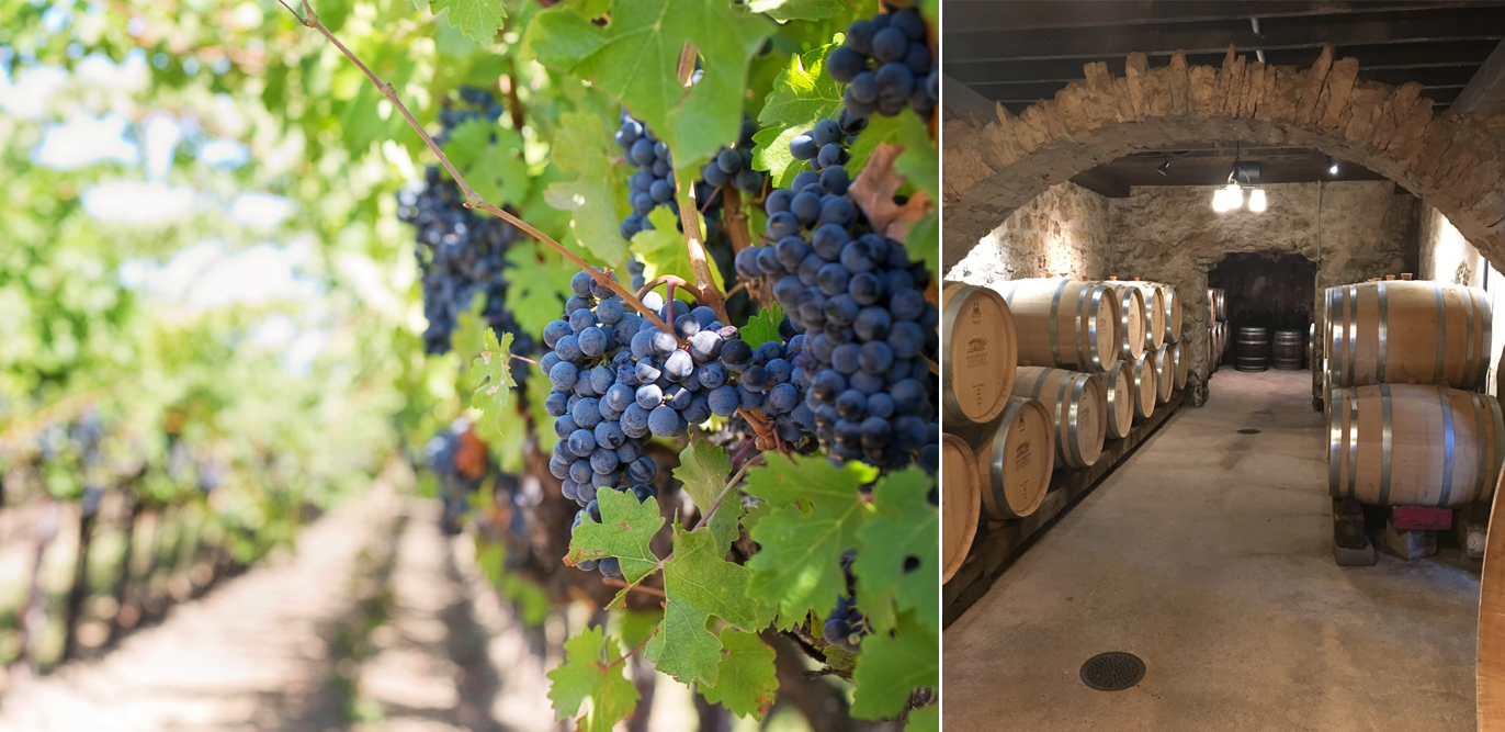 Wineries KRGinsure Commercial Insurance Services