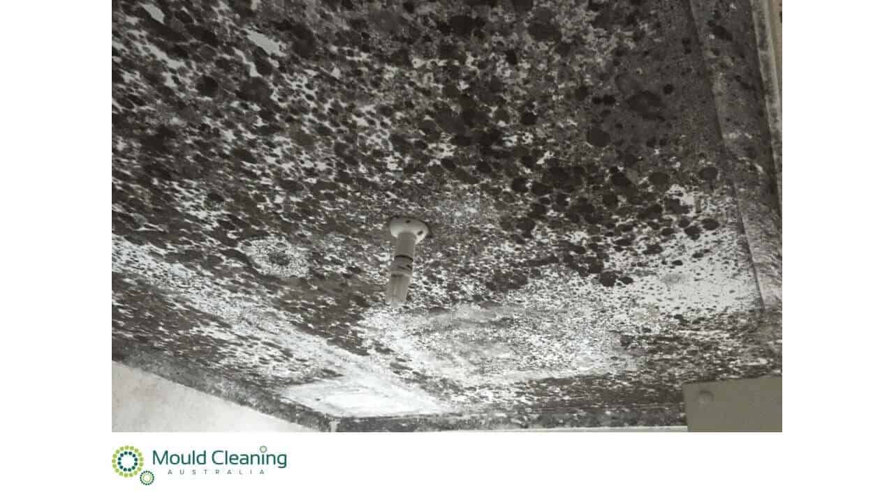 Mould Removal Bathroom - Central Coast, NSW