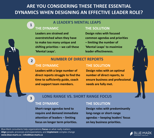 Leader Roles Blue-Mark Management Consultants