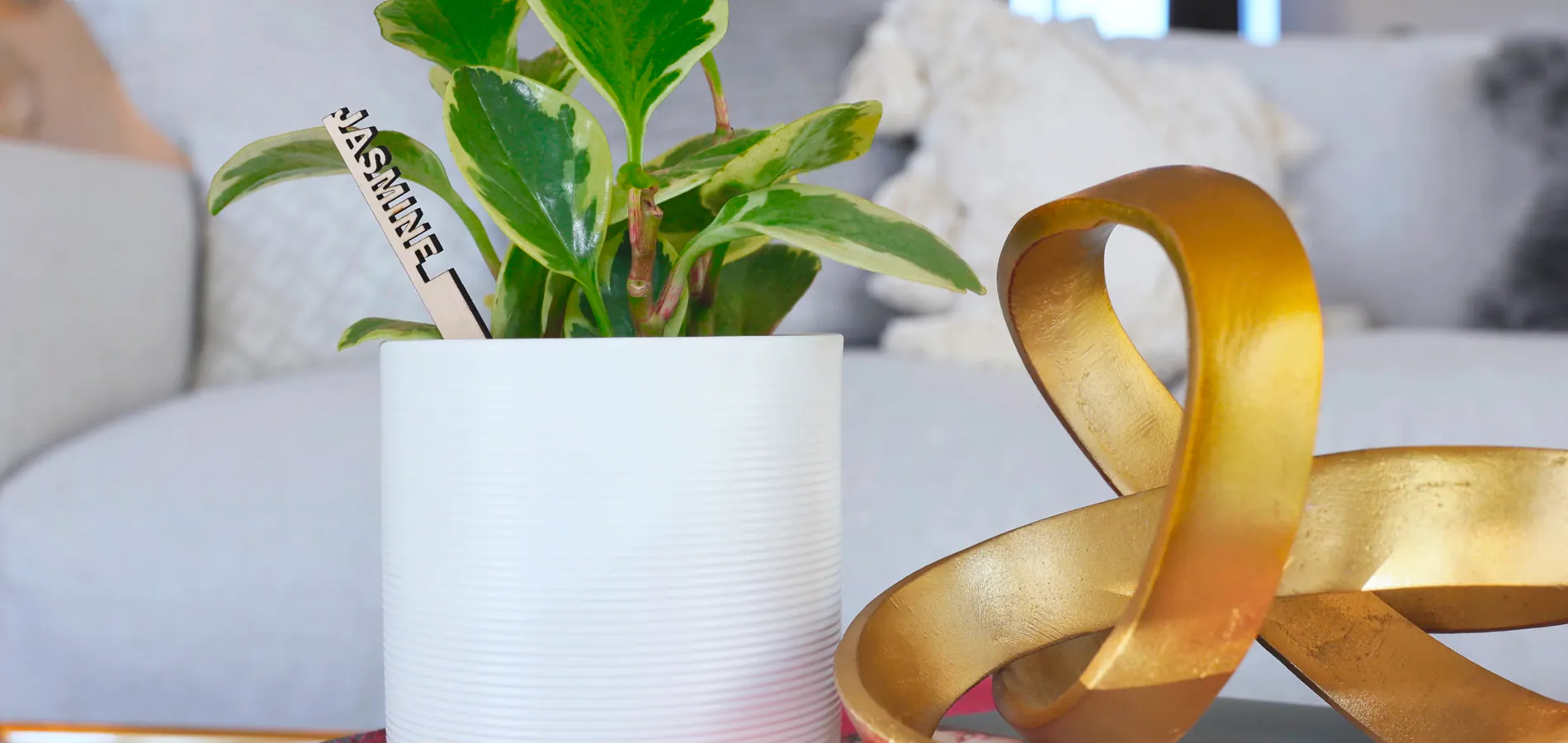 8 Ways Plants Make Your Life Better