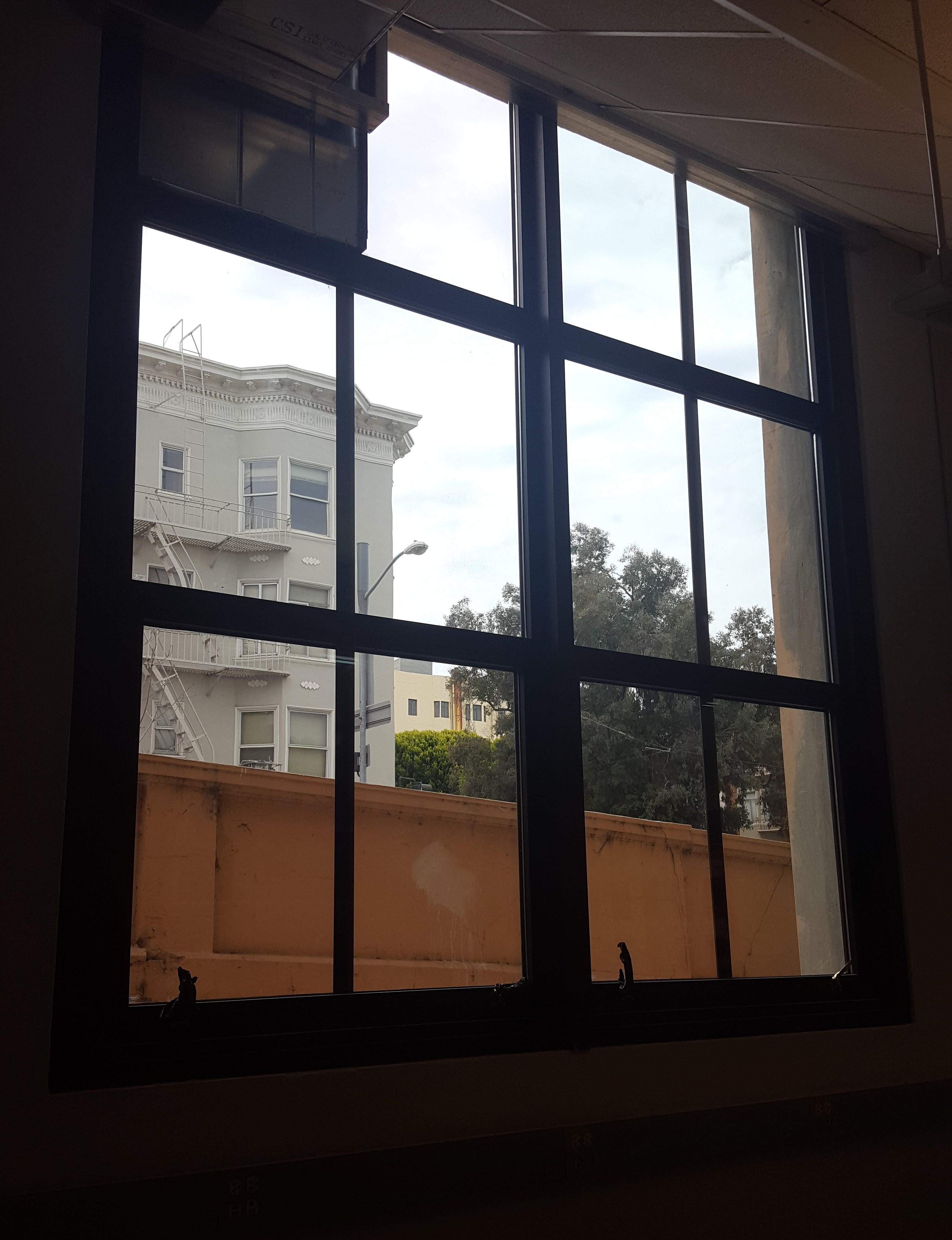Galileo Window Replacement