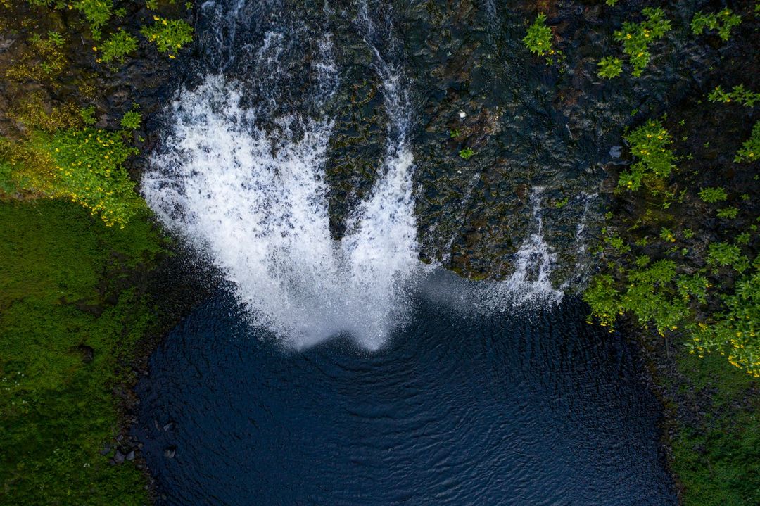 Freshwater