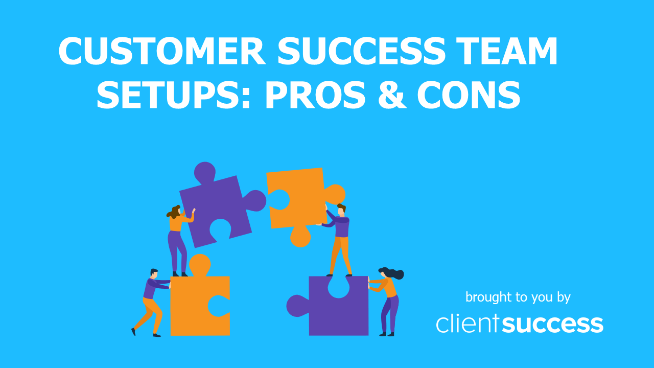 Customer Success Team Setups: Pros & Cons - ClientSuccess CSM Resources