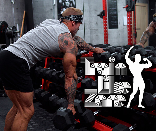 Train Like Zane Train Like Frank Zane - DAY 27 - Back, Bi's and Forearms