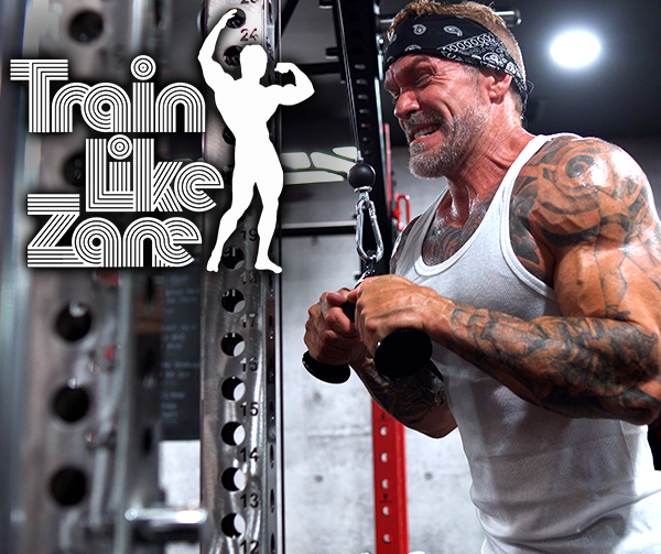 Train Like Zane Day 29 of Train Like Frank Zane - Push Day (Chest ...