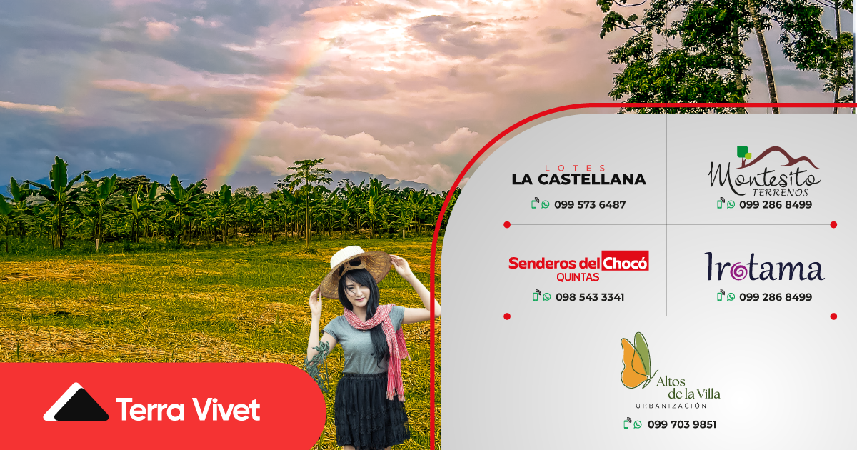 Proyectos de Terra Vivet