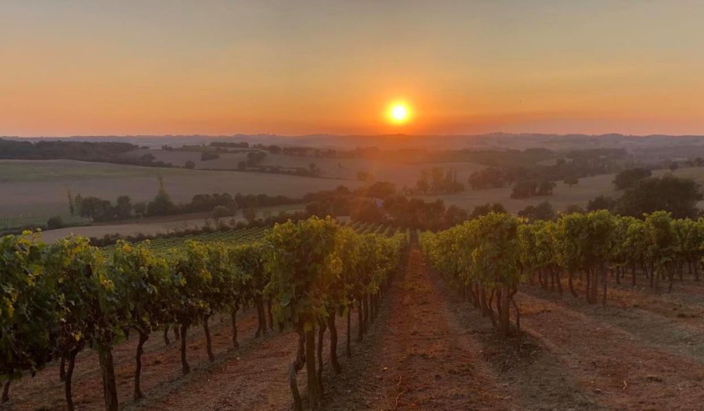 Le Relais du Vigneron | Vins de Côtes de Gascogne