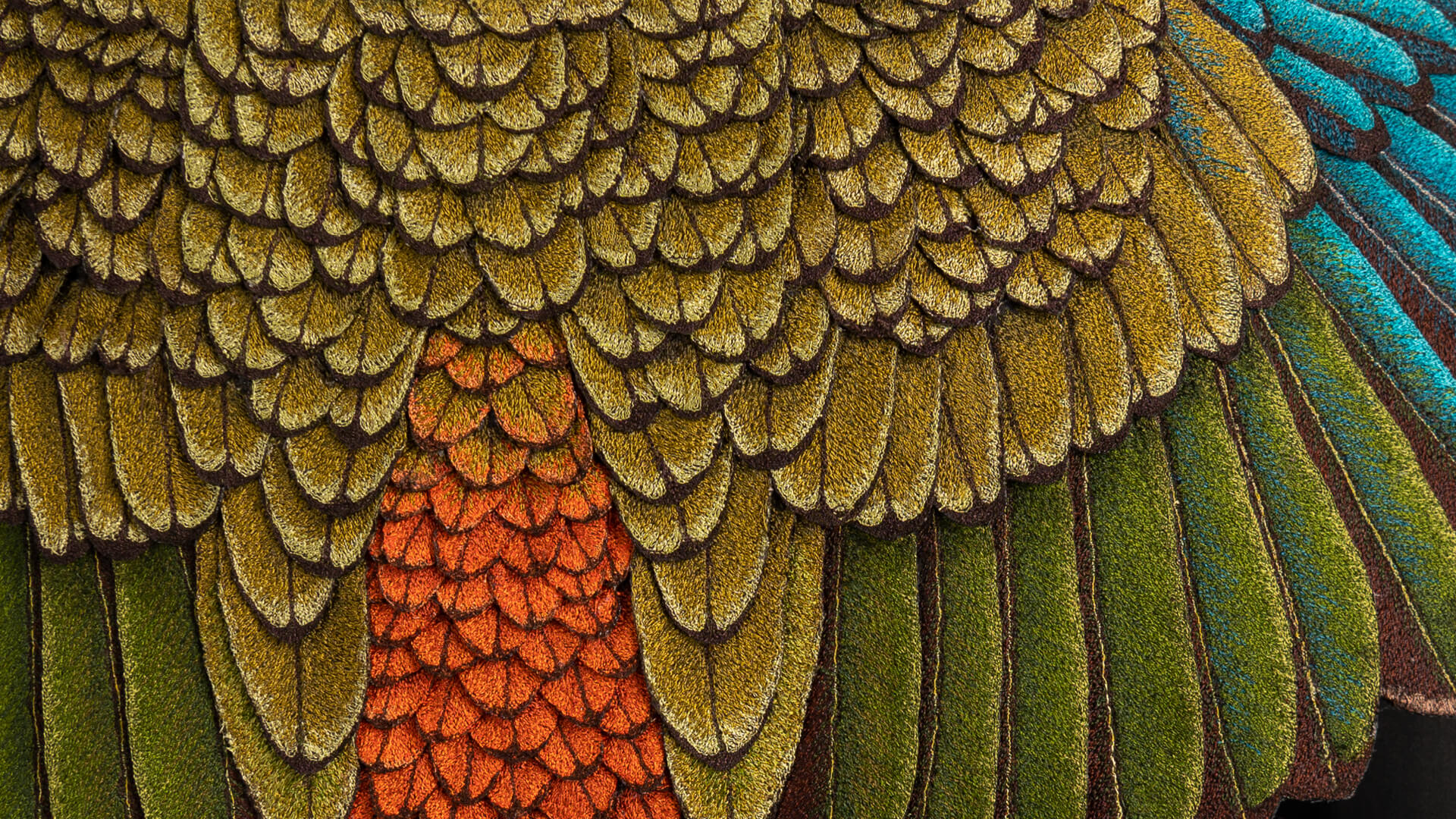 Sanctuary Given, Cushla O’Connell, New Zealand