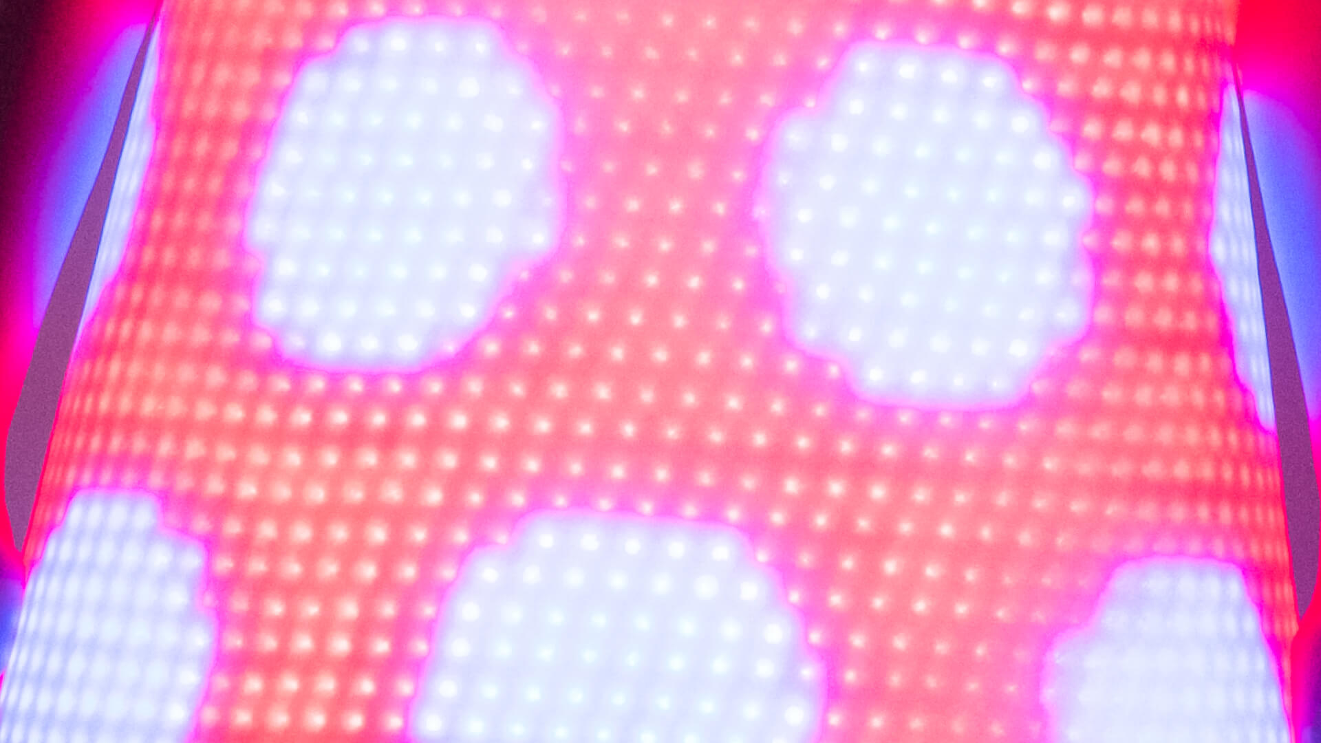 Little Electric Dress (LED), Dinah Walker & Mark Walker, New Zealand