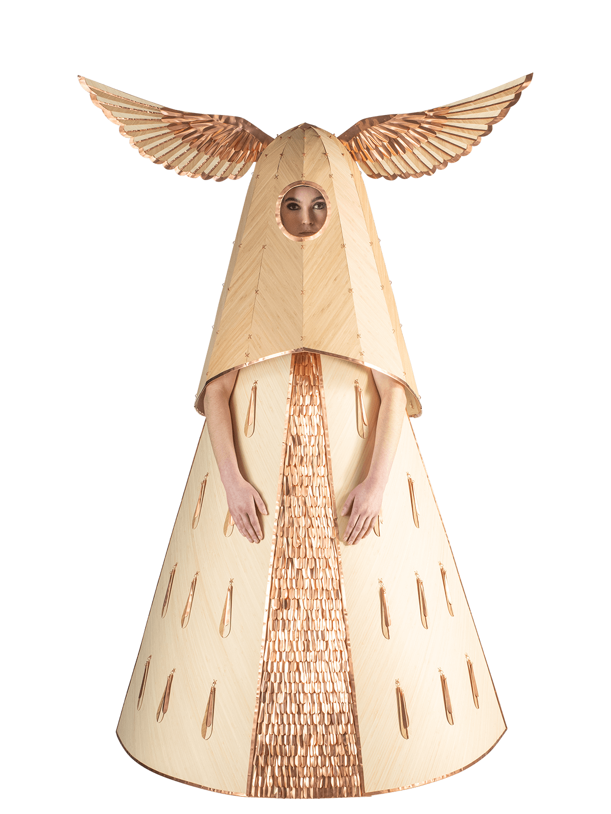 Kaitiaki, Lisa Vanin, New Zealand