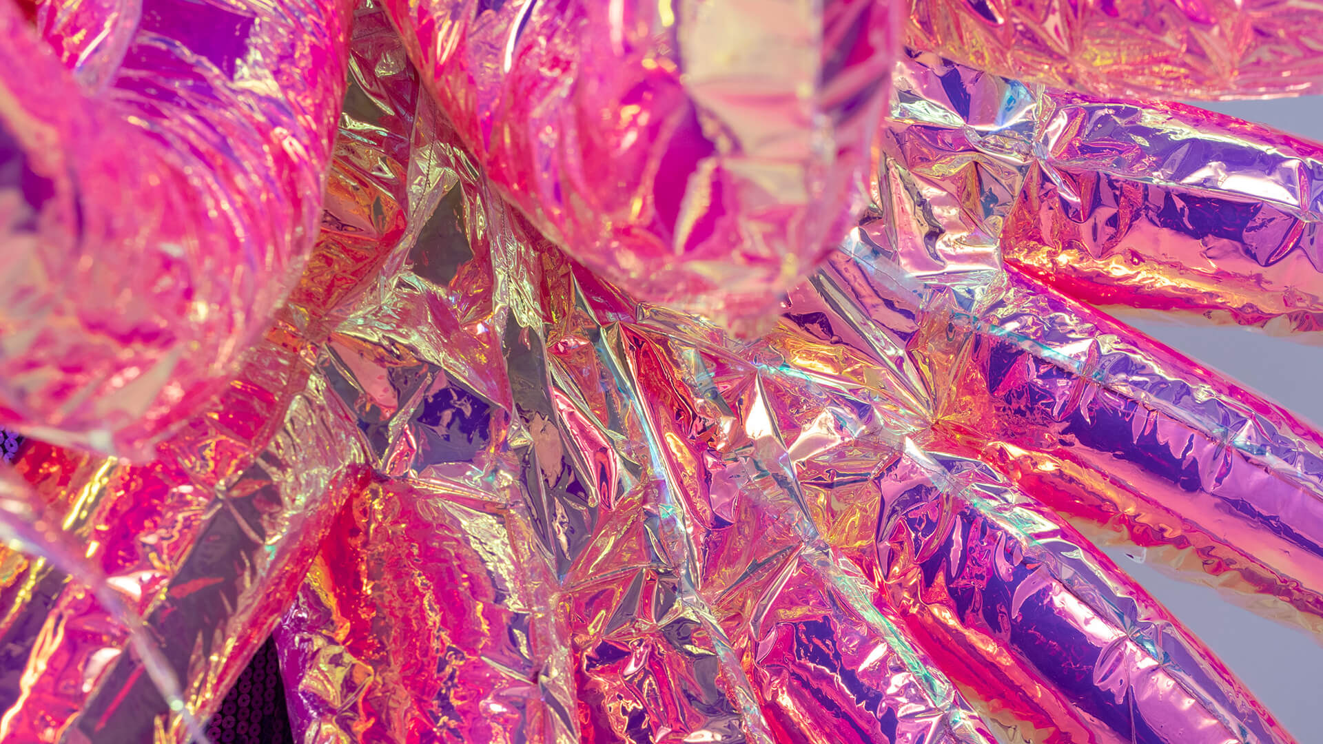 Chrysanthemum & Amphitrite, Jack Irving, United Kingdom